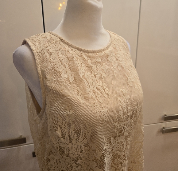 NWT Sabine Lace Overlay Fringe Sleeveless Dress Cream Size XS - Picture 4 of 10